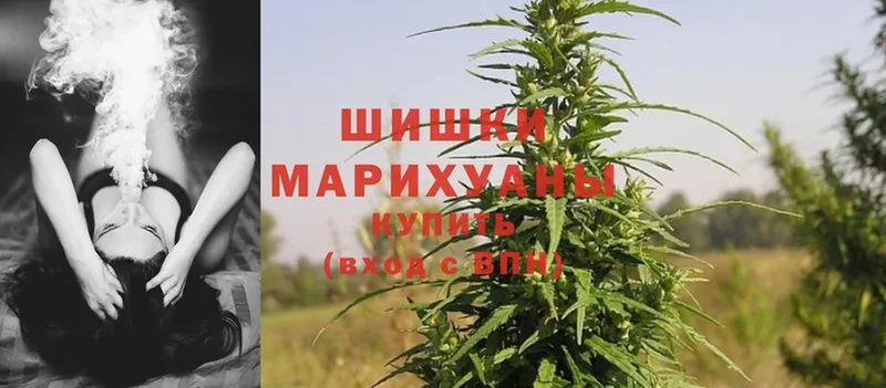 Каннабис SATIVA & INDICA  где продают наркотики  Новомичуринск 